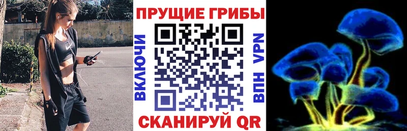 Псилоцибиновые грибы мухоморы  MEGA как войти  Сегежа 