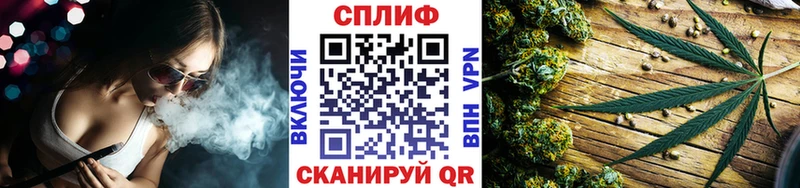 где найти наркотики  Сегежа  Бошки Шишки план 